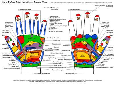 Reflexology Hand Chart, Palmar View in Colour